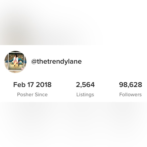 Meet your Posher, TheTrendyLane - Picture 9 of 10